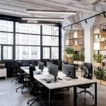 bitki tasarımı ofis dekorasyonu